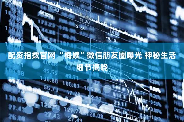 配资指数官网 “梅姨”微信朋友圈曝光 神秘生活细节揭晓